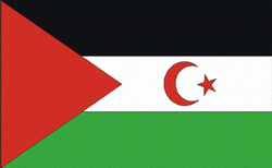 flaga sahary zachodniej